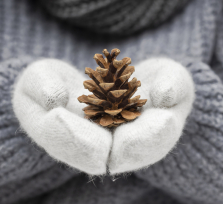 Άρης σε σύνοδο με τον Πλούτωνα στις 28/1/2026: Δύναμη, σύγκρουση και αναδιάρθρωση της βούλησης.