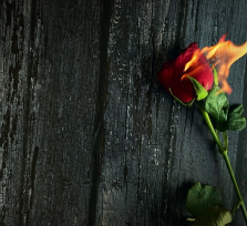 Ο Ερμής σε σύνοδο με την Αφροδίτη στις 28/2/2026: Επαναξιολόγηση αξιών, σχέσεων και επιλογών.