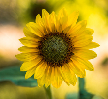 Ανάδρομος Ερμής σε σύνοδο με τον Άρη στις 15/3/2026: Σύγκρουση ταχύτητας και σκέψης, νέες αποφάσεις.