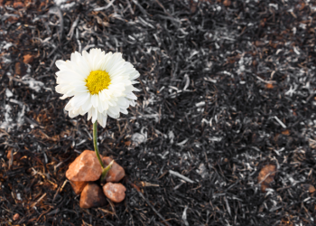 12ος οίκος στην αστρολογία "Το τέλος μου είναι η αρχή μου"