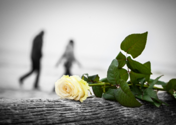 Ανάδρομος Ερμής στους Ιχθύς από τις 30/3/2025, πως επηρεάζει το ζώδιό σου.