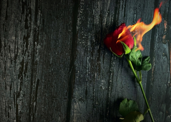 Ο Ερμής σε σύνοδο με την Αφροδίτη στις 28/2/2026: Επαναξιολόγηση αξιών, σχέσεων και επιλογών.