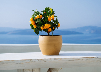 Ο Ερμής σε σύνοδο με τον Δία στις 8/6/2025: Όταν ο λόγος γίνεται πύλη!