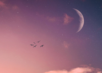 Νέα Σελήνη στον Υδροχόο στις 29/1/2025, πως επηρεάζει το ζώδιό σου.