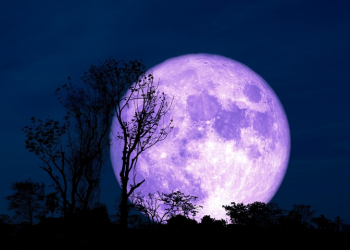 Πανσέληνος στον Ταύρο στις 5/11/2025, πως επηρεάζει το ζώδιό σου.