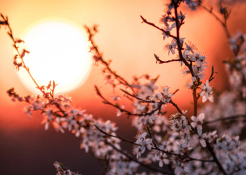 Πανσέληνος στον Ζυγό στις 2/4/2026, πως επηρεάζει το ζώδιό σου.