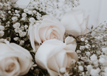 Προβλέψεις Ταρώ εβδομάδας 12 ως 18/5/2025, από τον Μάνο Μηκίδη (video).