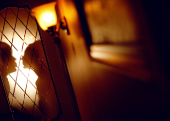 Πως αντιδρούν τα 12 ζώδια στον έρωτα της μιας βραδιάς! 