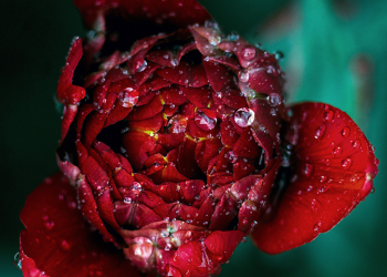 Προβλέψεις Ταρώ εβδομάδας 10 ως 16/5/2021 από τον Μάνο Μηκίδη (video).