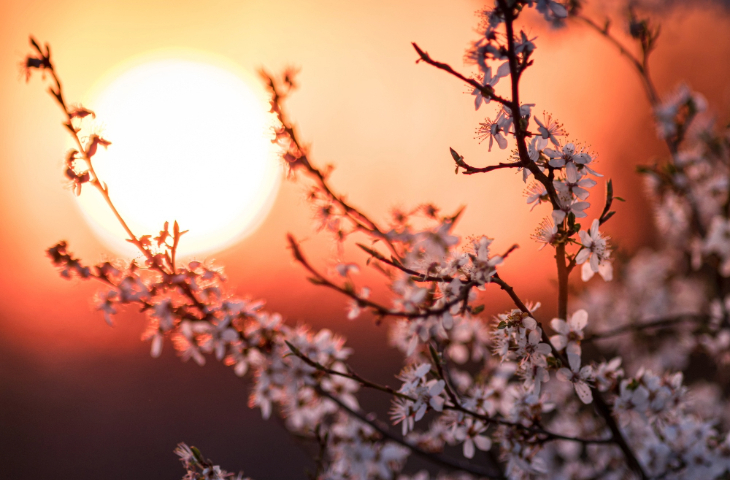 Πανσέληνος στον Ζυγό στις 2/4/2026, πως επηρεάζει το ζώδιό σου.